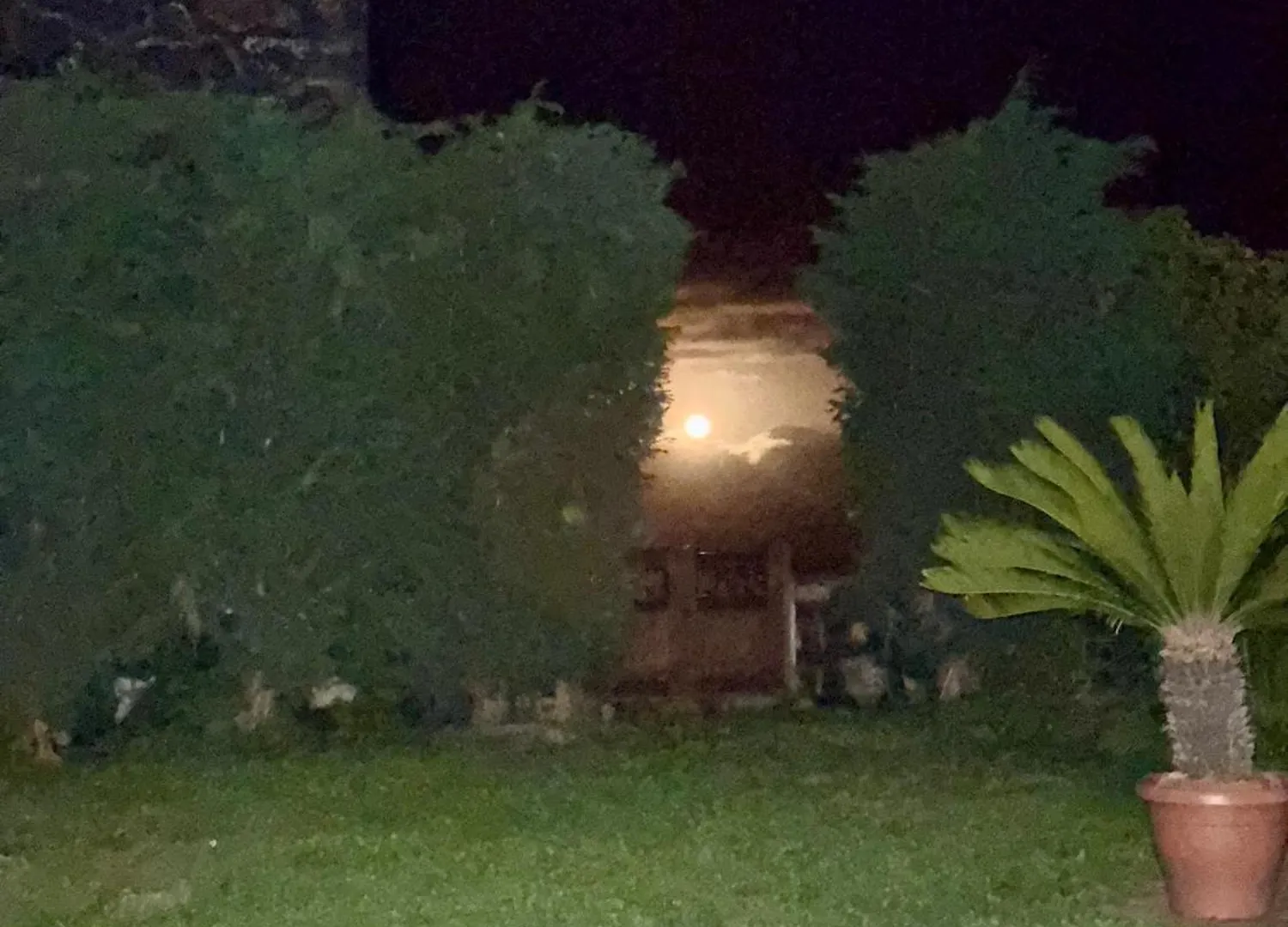 Сasa de vacaciones Casa Rural Quinta Los Naranjos Tigalate España
