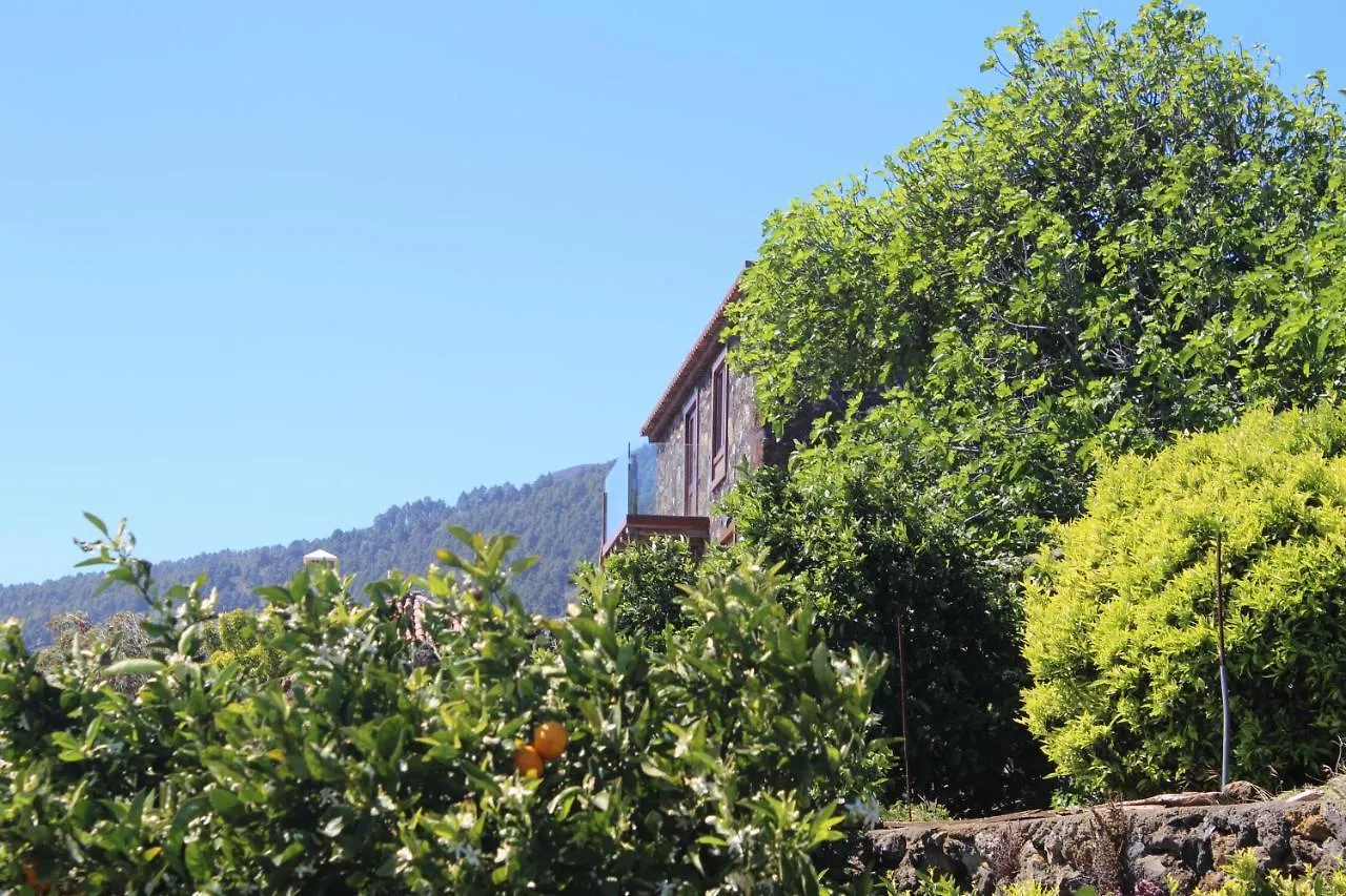 Casa Rural Quinta Los Naranjos Tigalate Holiday home